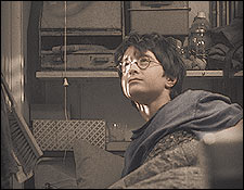 harry.jpg