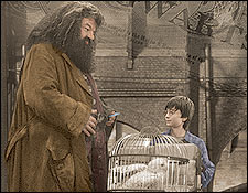 hagrid.jpg
