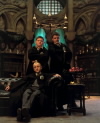 draco,crabe a goil.jpg