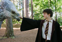 harry a klofan.jpg
